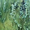 Rock-in-my-pocket-(detail)
